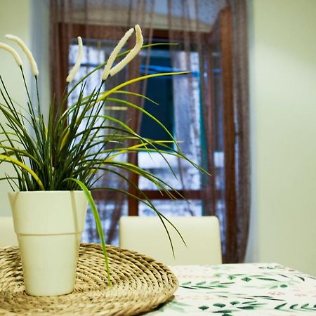 Apartman Flower Šibenik Exterior foto