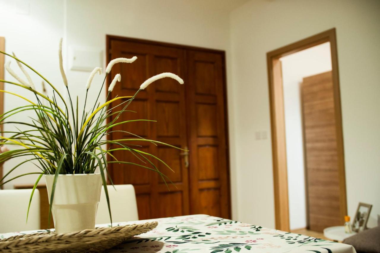 Apartman Flower Šibenik Exterior foto